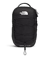 Algopix Similar Product 20 - The North Face 10L Mini Borealis Laptop