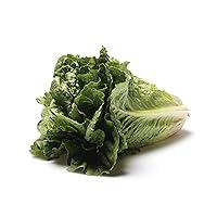 Algopix Similar Product 7 - Organic Romaine Lettuce, 1 Each