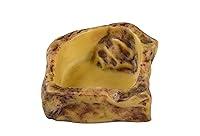 Algopix Similar Product 17 - Exo Terra Water Dish - Small