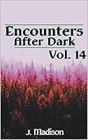 Algopix Similar Product 13 - Encounters After Dark: Volume 14