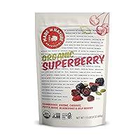 Algopix Similar Product 8 - Made in Nature Organic Superberry Fruit