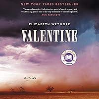 Algopix Similar Product 11 - Valentine: A Novel