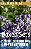 Algopix Similar Product 13 - Planting Lavender in Pots  Growing