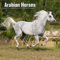 Algopix Similar Product 15 - MegaCalendars  Arabian Horses Calendar