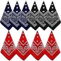 Algopix Similar Product 16 - NACHLYNN 10pcs Paisley Bandanas