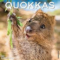 Algopix Similar Product 10 - Willow Creek Press Quokkas Monthly 2025