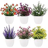 Algopix Similar Product 7 - Yoratee Artificial Small Plant 6pcs