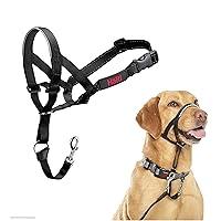 Algopix Similar Product 9 - HALTI Headcollar  To Stop Your Dog
