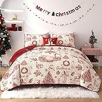 Algopix Similar Product 19 - DJY Christmas Quilt Set