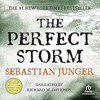 Algopix Similar Product 16 - The Perfect Storm A True Story of Men