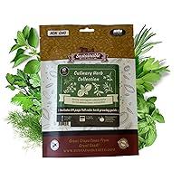 Algopix Similar Product 13 - Culinary Herb Seeds Variety Pack 