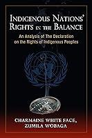 Algopix Similar Product 18 - Indigenous Nations Rights in the