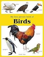 Algopix Similar Product 18 - My first picture book of Birds