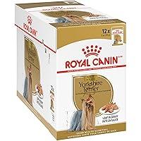 Algopix Similar Product 5 - Royal Canin Yorkshire Terrier Adult
