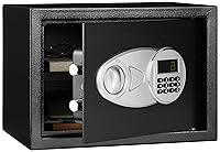 Algopix Similar Product 18 - Amazon Basics Steel Security Safe and