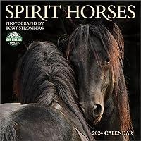 Algopix Similar Product 11 - Spirit Horses 2024 Wall Calendar by