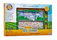 Algopix Similar Product 8 - Uncle Milton Ant Farm