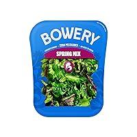 Algopix Similar Product 12 - Bowery Spring Mix Lettuce