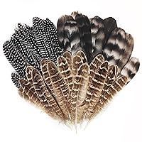 Algopix Similar Product 5 - Natural Turkey Spotted Feathers 30Pcs