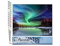 Best Deal for Adult Large-Scale 5D Diamond Painting Set,Peacock Full