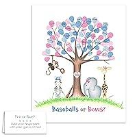 Algopix Similar Product 18 - Baseballs or Bows Gender Reveal Party