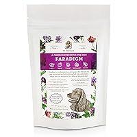 Algopix Similar Product 11 - Dr Harveys Paradigm Green Superfood