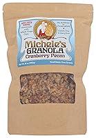 Algopix Similar Product 8 - MICHELES GRANOLA Seasonal Granola, 12 OZ