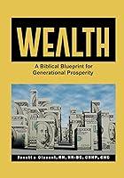 Algopix Similar Product 15 - Wealth  A Biblical Blueprint for