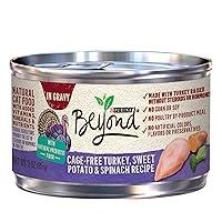 Algopix Similar Product 15 - Purina Beyond CageFree Turkey Sweet