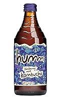 Algopix Similar Product 17 - Humm Kombucha, Blueberry Mint, 14 fl oz