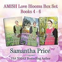 Algopix Similar Product 14 - Amish Love Blooms Boxed Set Books 4