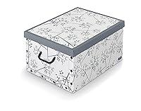 Algopix Similar Product 3 - Domopak Storage Box With Handles