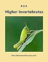 Algopix Similar Product 16 - Higher Invertebrates