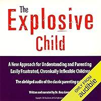 Algopix Similar Product 11 - The Explosive Child A New Approach for
