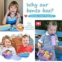  Navaris Bento Box - Adult Lunch Box with 4 Compartments - Leak  Proof Food Container for Kids - Dark Blue