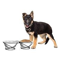 Algopix Similar Product 15 - Set of 2 Elevated Dog Bowls 