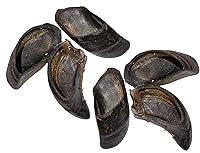 Algopix Similar Product 12 - Butcher Shop 100 Cow Hooves 6 Pack