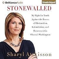 Algopix Similar Product 7 - Stonewalled My Fight for Truth Against