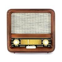 Algopix Similar Product 11 - Fuse RADV1 Vintage Retro Radio  AMFM