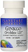 Algopix Similar Product 7 - Planetary Herbals Ginkgo Optimem 30