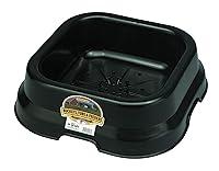 Algopix Similar Product 4 - Little Giant Plastic Salt and Mineral