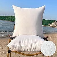 Algopix Similar Product 1 - QSWRD 16 x 16 Outdoor Pillow Inserts