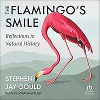 Algopix Similar Product 14 - The Flamingos Smile Reflections in