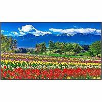 Algopix Similar Product 3 - NEC M751 75 Led Lcd Uhd 247 500nits