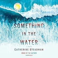Algopix Similar Product 11 - Something in the Water: A Novel