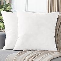 Algopix Similar Product 18 - NEATERIZE Premium Velvet Pillow Covers
