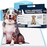 Algopix Similar Product 17 - American Kennel Club Scented Puppy