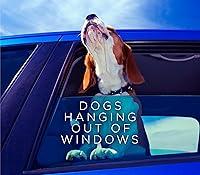 Algopix Similar Product 6 - Dogs Hanging Out Of Windows