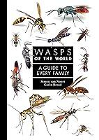 Algopix Similar Product 7 - Wasps of the World A Guide to Every