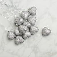 Algopix Similar Product 13 - 24 Sparkling Silver Glitter Covered